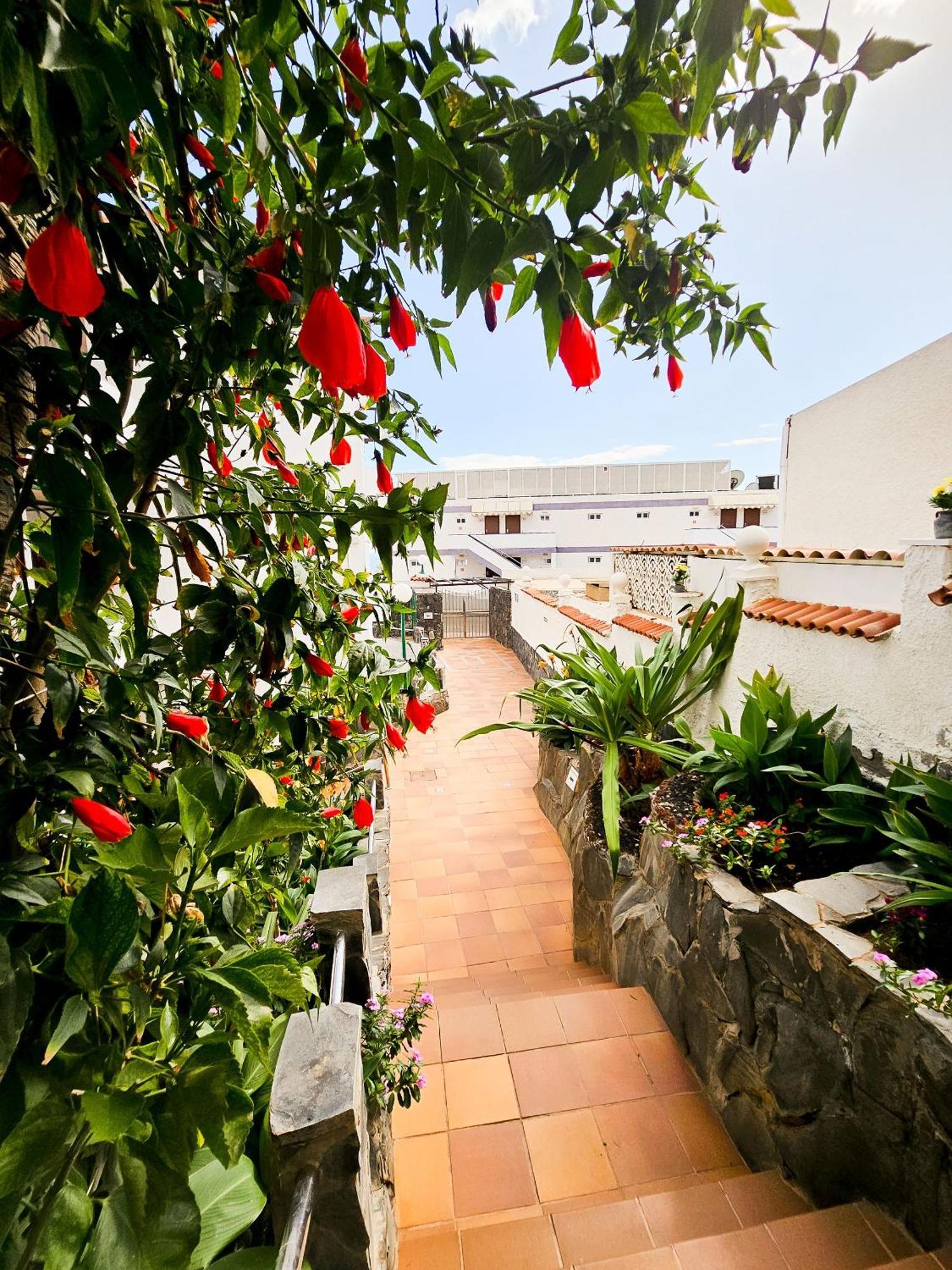 Apartamento Refugio En El Mar San Agustín Exterior foto